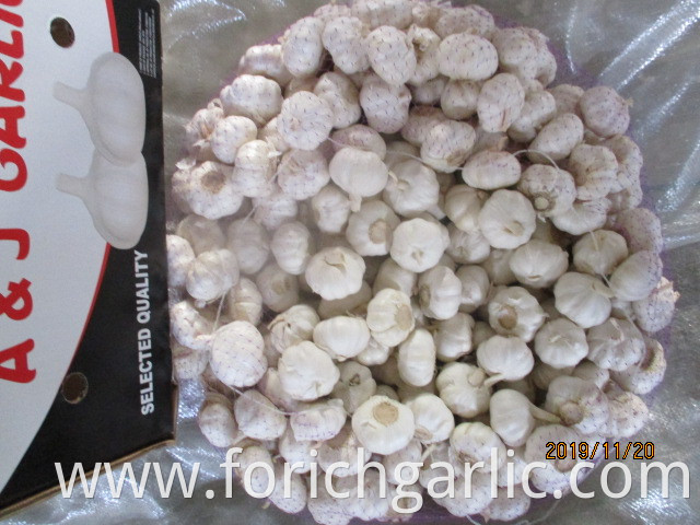 Best Quality Pure White Garlic